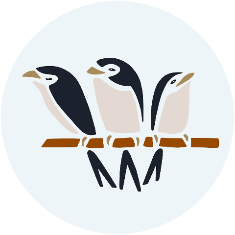 birds-swallows-branch-7618555