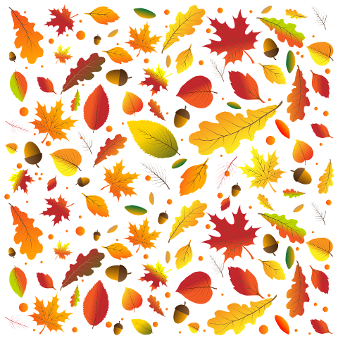 leaves-autumn-foliage-herbarium-7487408