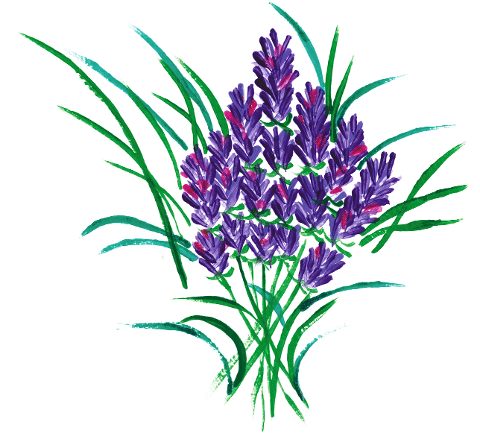lavender-watercolor-flowers-7677122