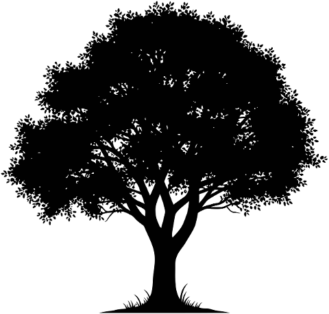 tree-silhouette-nature-black-white-10052610