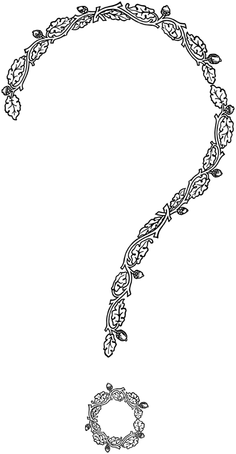 question-mark-flourish-line-art-7736825