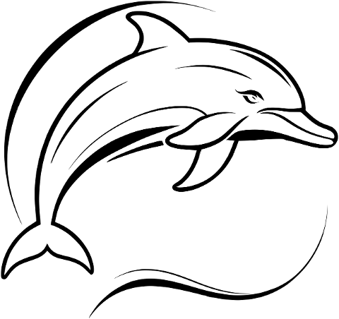 ai-generated-dolphin-logo-design-8541530
