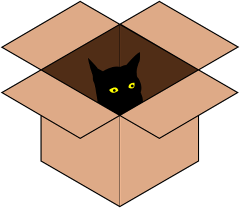 cat-box-feline-pet-animal-mammal-7037118