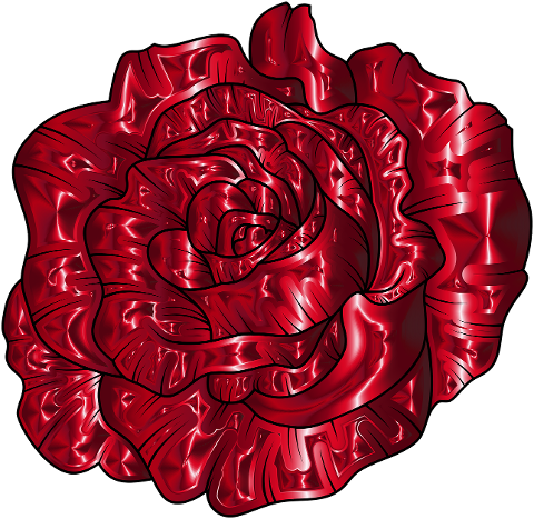 rose-flower-red-petals-plant-6346855
