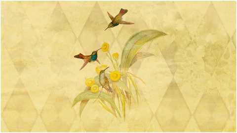 birds-flying-plants-cream-nature-6204117