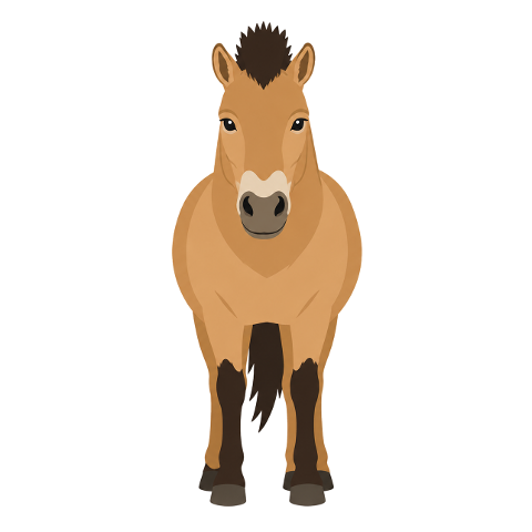 horse-przewalski-horse-wild-horse-10362841