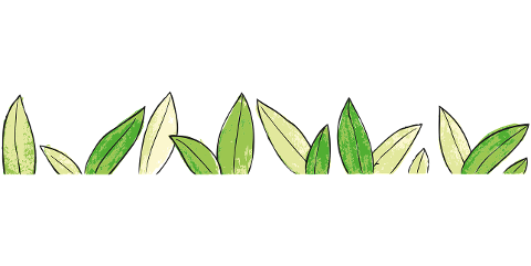 leaves-botany-plant-drawing-sketch-7074362