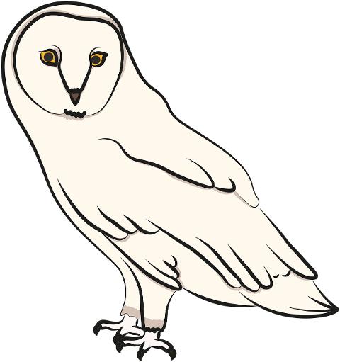 snowy-owl-owl-bird-animal-7218262