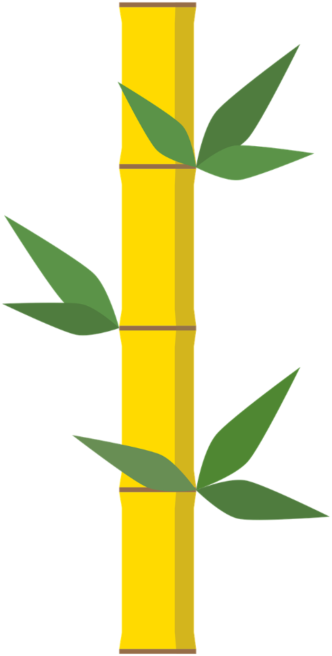 bamboo-forest-tropical-nature-10305120