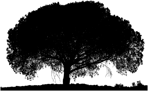 trees-landscape-silhouette-nature-8261233