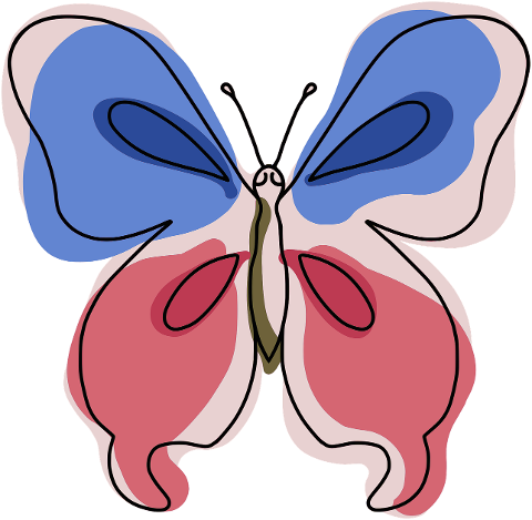 butterfly-insect-colored-drawing-8013625