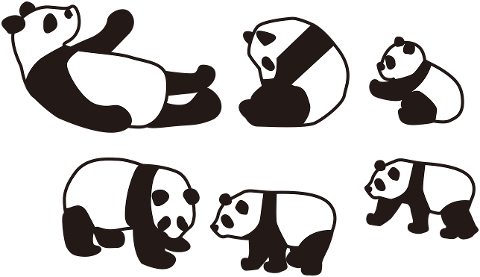 panda-animal-bear-natural-9407927