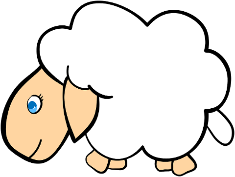 sheep-lamb-wool-cute-animal-7846285