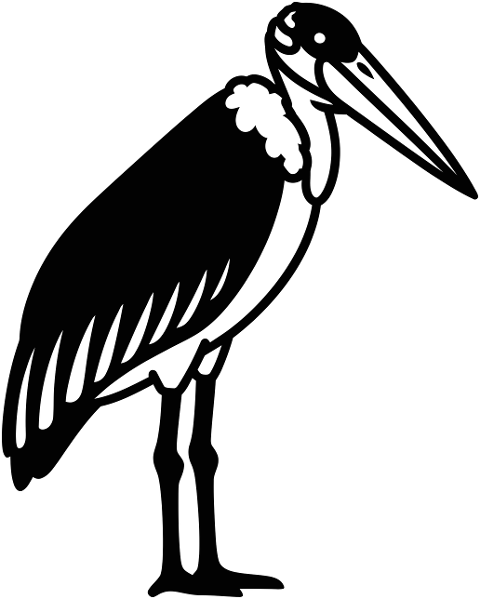 marabou-stork-bird-wading-bird-10004450