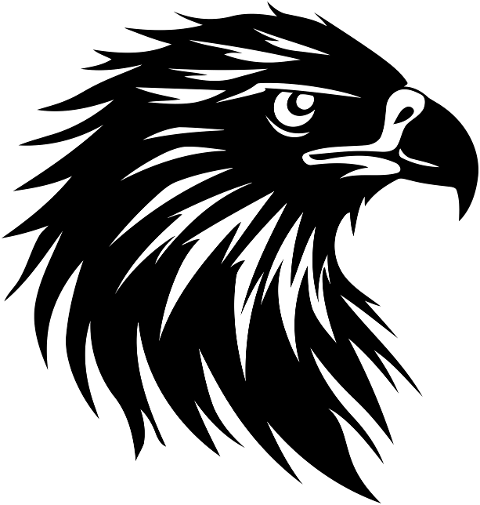 ai-generated-eagle-bird-head-8495182