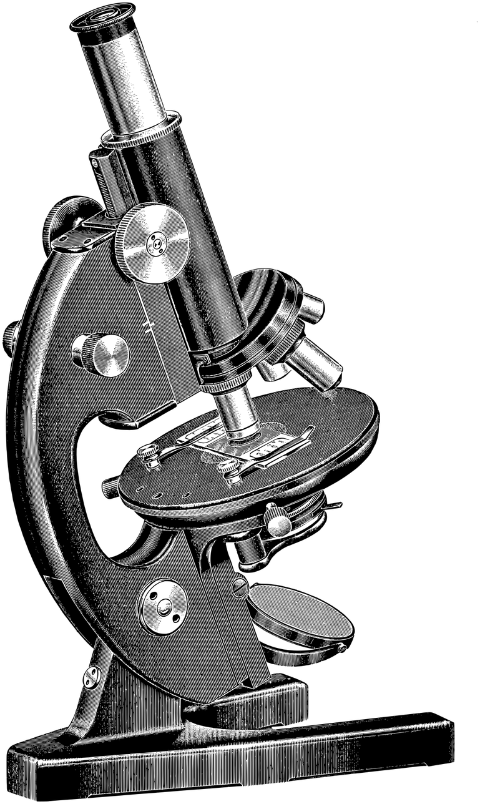 microscope-magnify-line-art-science-7290146