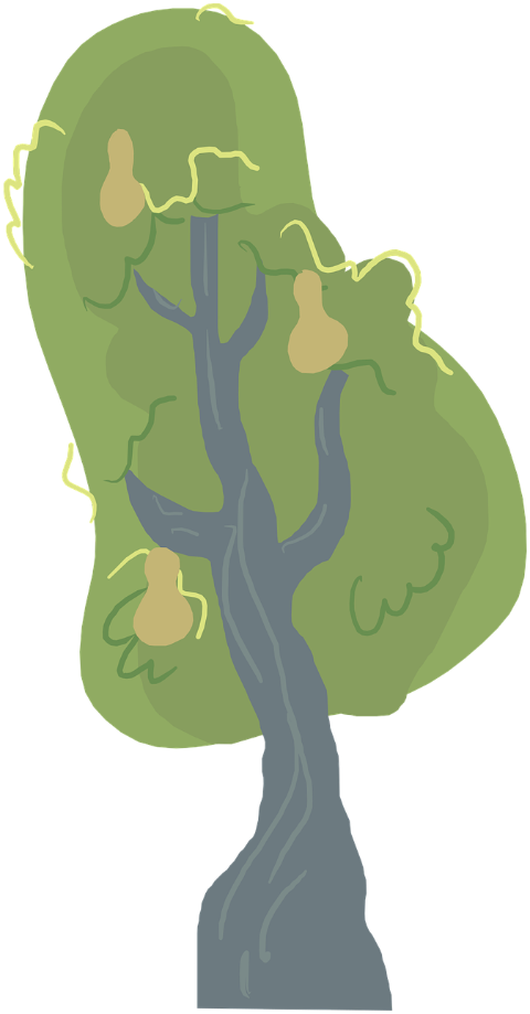 pearl-tree-tree-nature-garden-2d-9734393