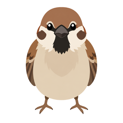sparrow-bird-cartoon-bird-cute-bird-10377370
