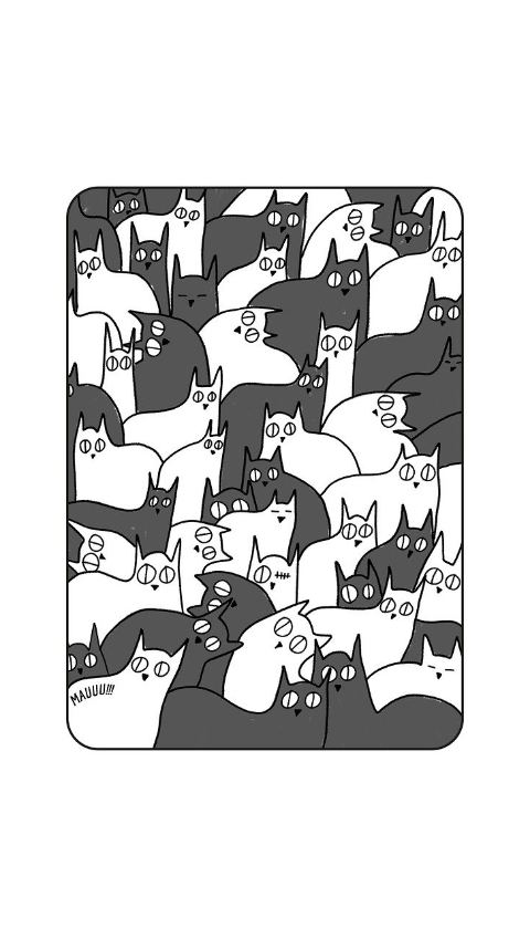 cats-animals-pattern-pets-6199011