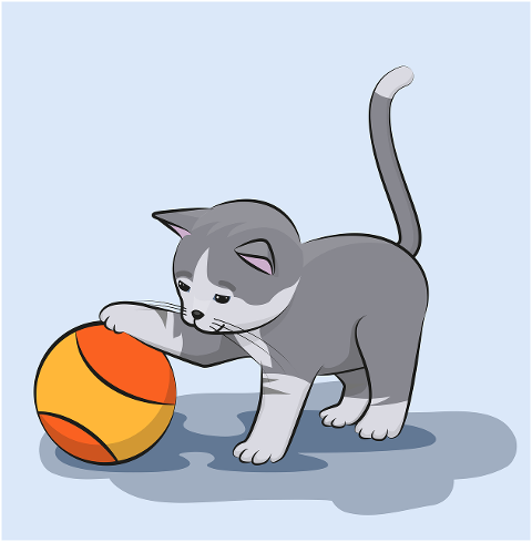 cat-pet-animal-domestic-feline-7130277