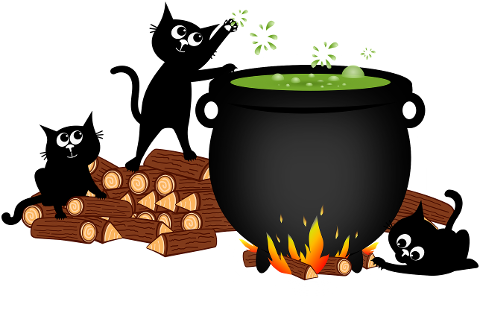 cat-kitten-black-cats-pet-animal-9825291