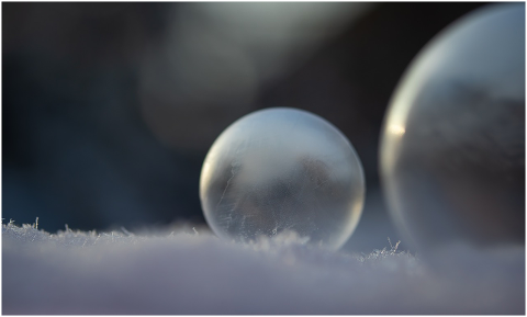 soap-bubble-frost-bubble-ice-snow-4594304