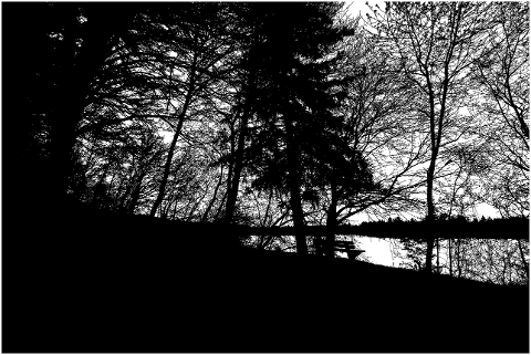 forest-trees-silhouette-lake-tree-4143247