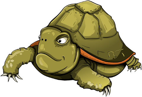 tortoise-amphibious-tortila-reptile-4228370