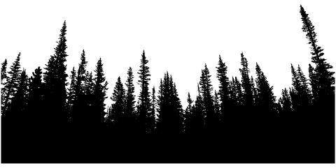 trees-forest-woods-silhouette-7120218