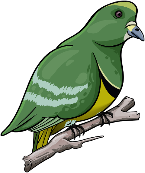 bird-pigeon-beak-feathers-green-7875926