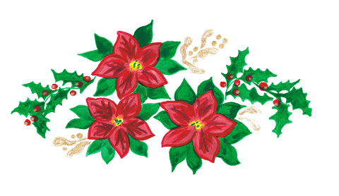 poinsettia-holly-mistletoe-6842758