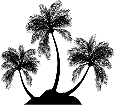 island-palm-trees-silhouette-5761040