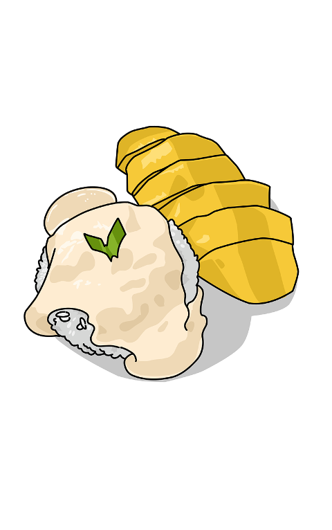 mango-sticky-rice-sweet-rice-10085662