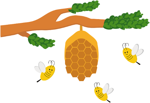 beehive-honeycomb-bees-insect-6943574