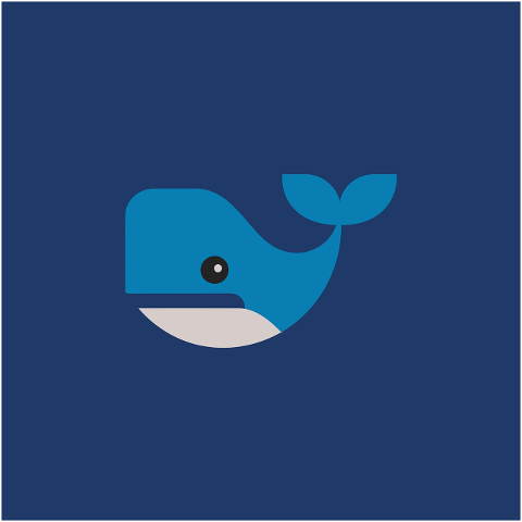 whale-humpback-mammal-aquatic-9619752