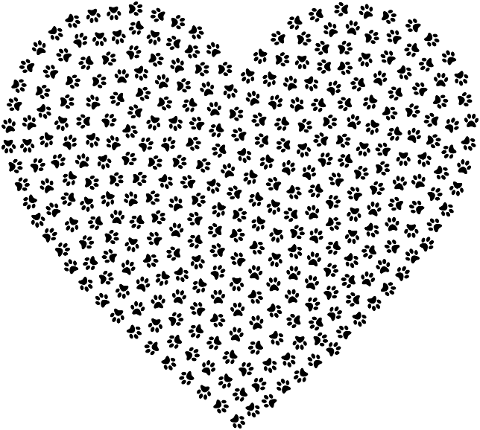 paws-heart-love-animal-cat-dog-8899970