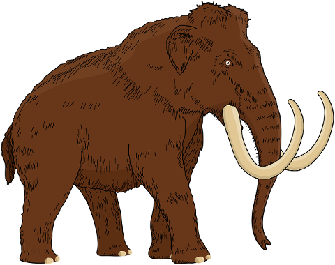 woolly-mammoth-animal-extinct-7252577