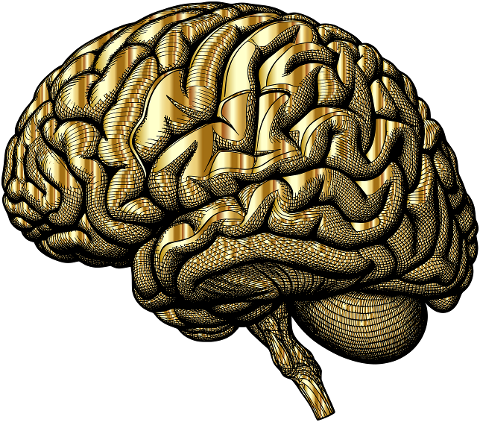 brain-mind-gold-head-psychology-9026029