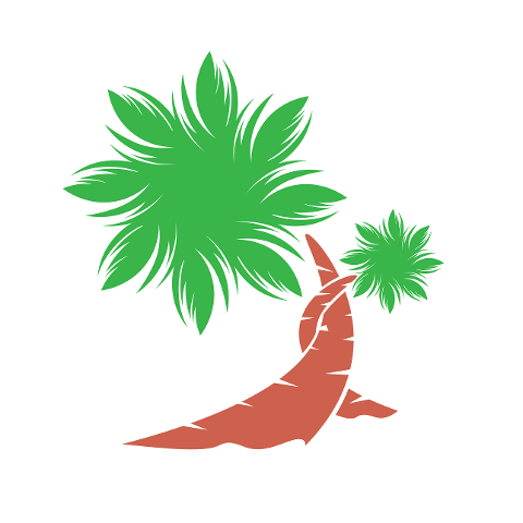 palm-trees-tropical-trees-trees-7507924