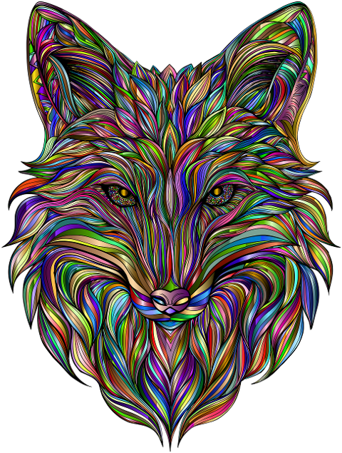 fox-animal-head-face-canine-9503633