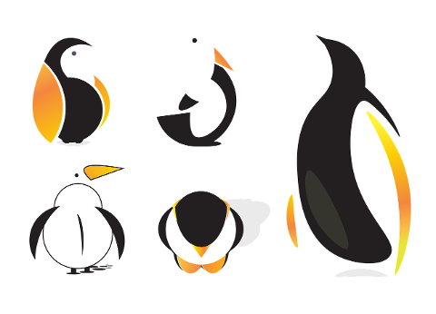 penquins-animal-wildlife-bird-7346799