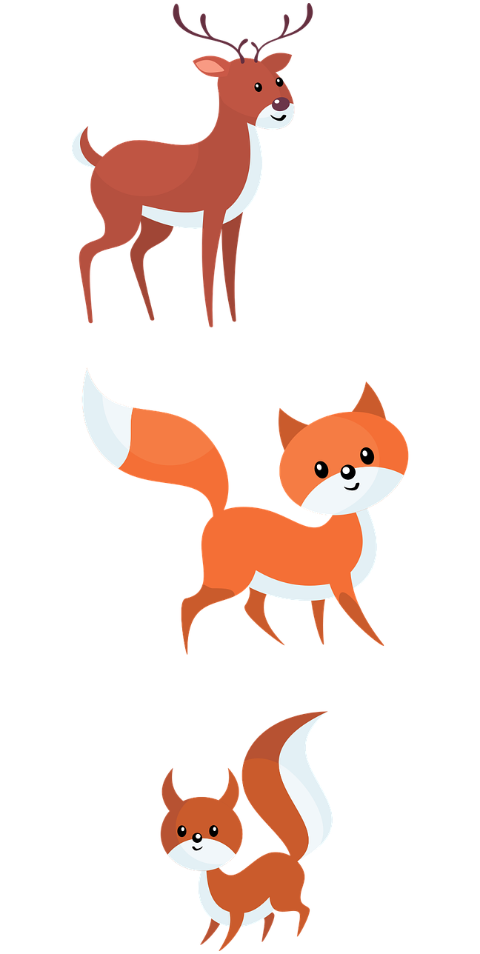 foxes-deer-animals-red-fox-mammals-6829003