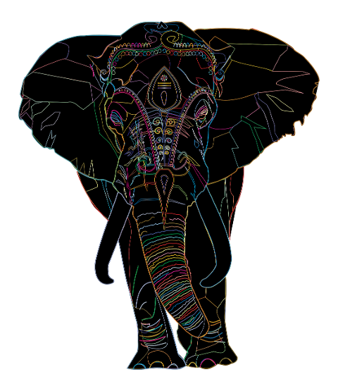 elephant-animal-pachyderm-8298766