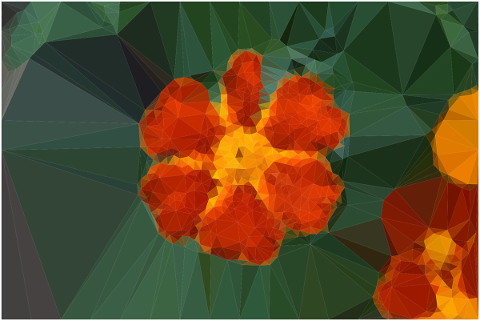 flower-blossom-bloom-lowpoly-4885348