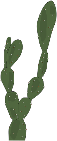 desert-plants-cactus-green-thorns-5165689