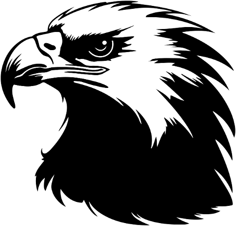 ai-generated-eagle-bird-wildlife-8495213