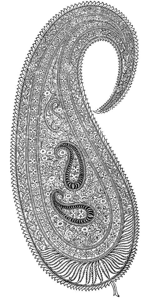 paisley-flourish-design-line-art-7378253