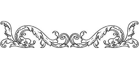 divider-flourish-line-art-separator-7631814