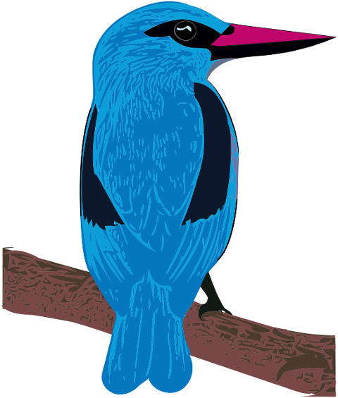 woodland-kingfisher-bird-animal-7302070