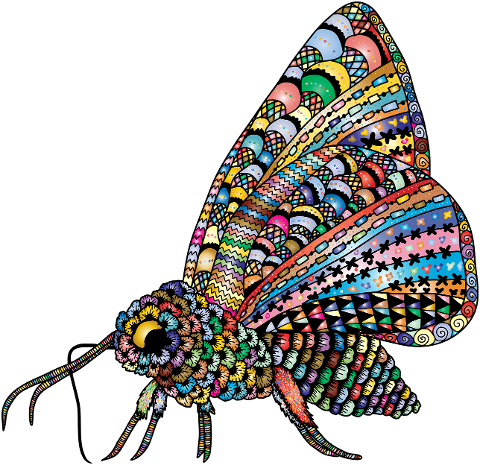 moth-insect-animal-decorative-8261337